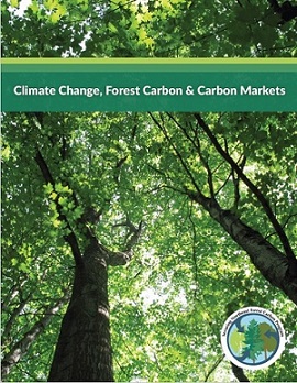 Front page image of resource showing sugar maple trees