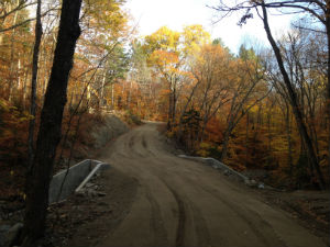 A dirt road winding through late fall foliage on the Rice Block.