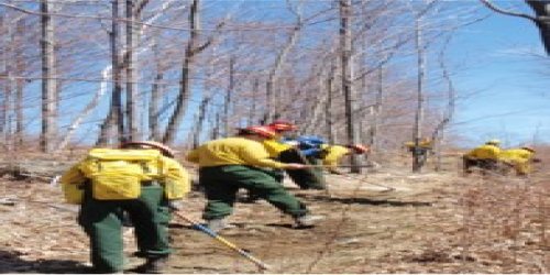 Fireline Wildland firefighters