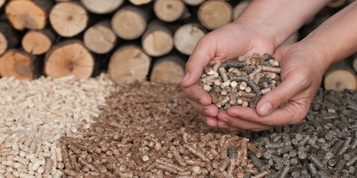 Hand holding wood pellets