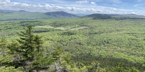 View from Wheeler Mountain