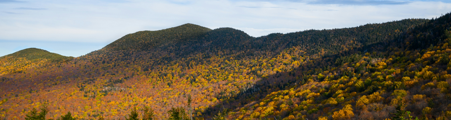 camels hump