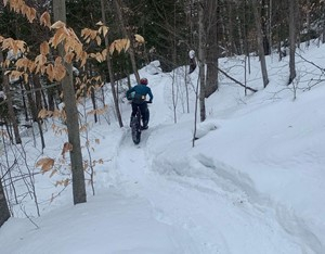 A winter biker bikes on groomed trails.