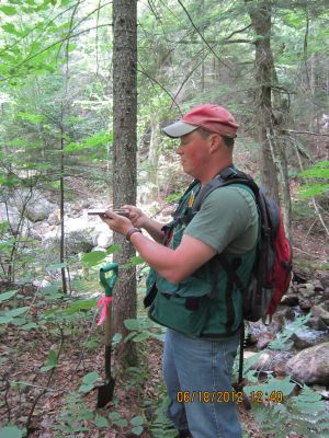 Forester using a densiometer to measure forest canopy closure along a stream