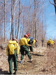 Wildland Fire Training  Department of Forests - Parks and Recreation