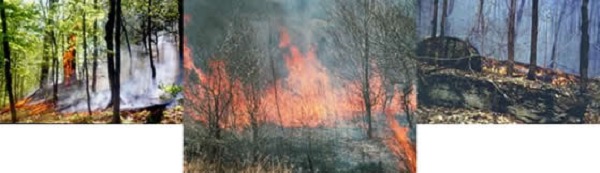 Wildland fire scenes in Vermont.