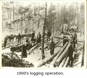 1900's Logging