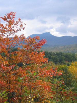 Camel's Hump Image of mountain scene with tree