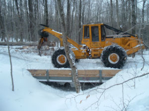 Winter Timber Harvest