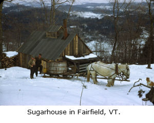 sugarhouse