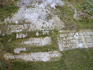 Black Turn Brook State Forest - Remnants of Earth People's Park