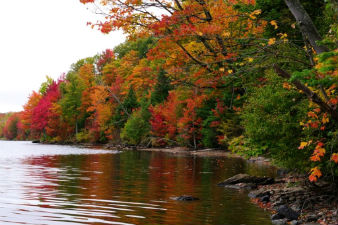 Beautiful fall foliage scene on the shore of Green River Reservoir.