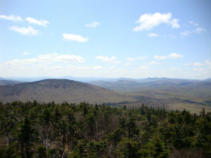 Okemo State Forest