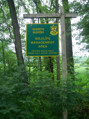 Ward's Marsh WMA