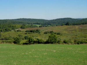 Windsor Grasslands Wildlife Management Area