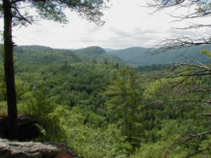 Jamaica State Park Overlook Trail