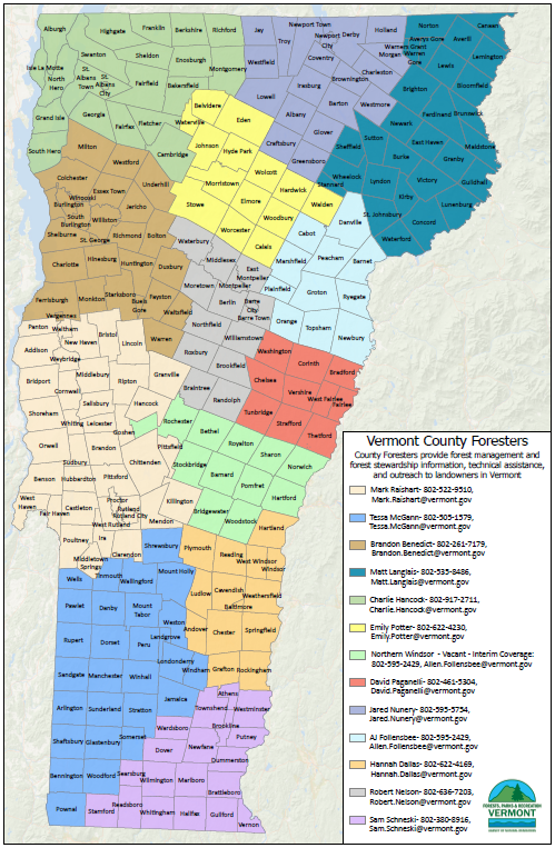 Image of Vermont County Forester service areas.