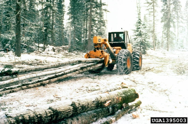 Photo of a skidder