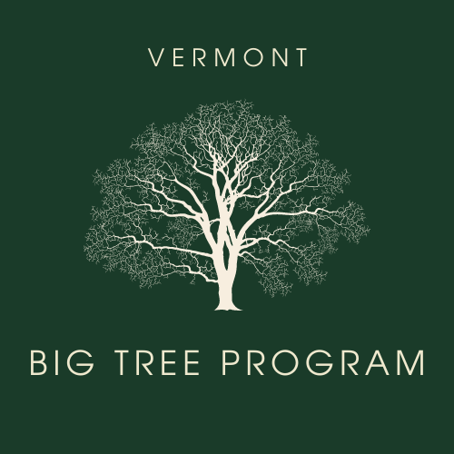 Vermont Big Tree Program Logo