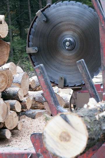 A spinning circular slasher saw with a stack of freshly cut logs.