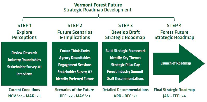 Flow diagram of development timeline with four discrete steps: (1) explore perceptions, (2) future scenarios and implications; (3) develop draft strategic roadmap, and (4) forest future strategic roadmap.