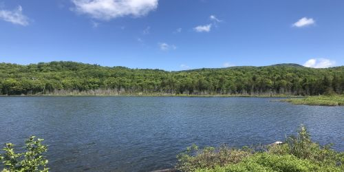 View of pond with mountains in the background.