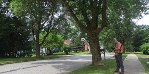 Man typing on tablet next to a tree on a suburban street.