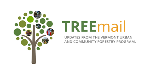 Tree mail logo - TREEmail - Updates From the Vermont Urban and community forestry program.