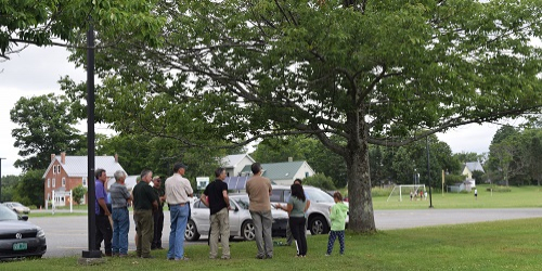 Group of people viewing a tree in the park.