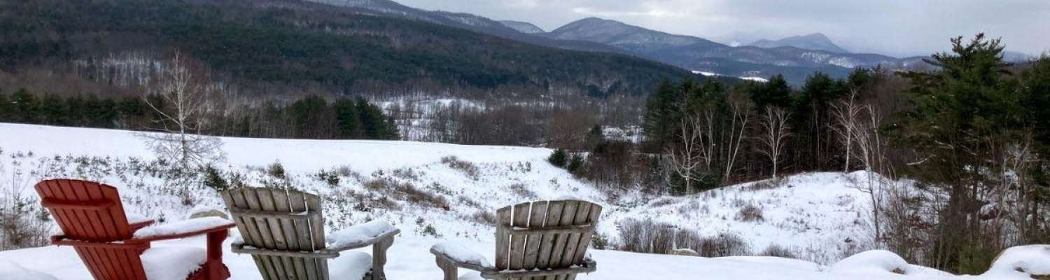 Snowy Adirondack style cahirs sit on a hill at Taconic Mountains Ramble State Park