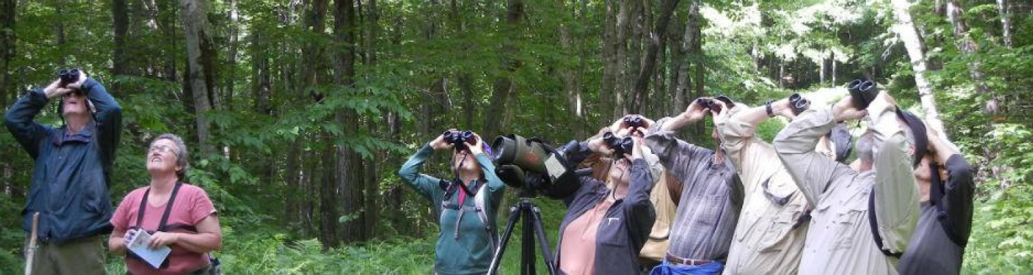 Group of people in the forest looking up in the sky with binoculars.